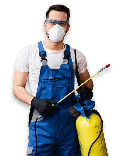 Disinfestatore Professionale a Catania