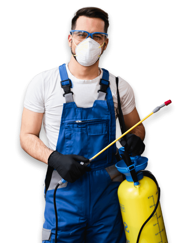 Disinfestatore Professionale a Catania